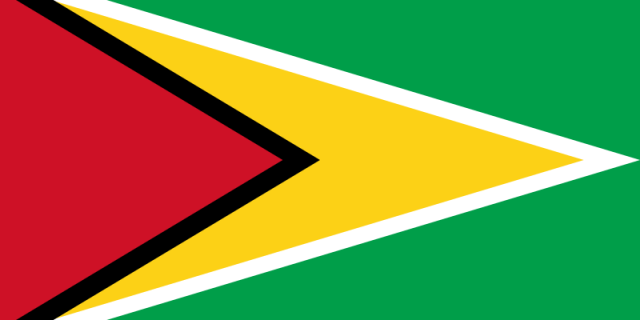 800px-Flag_of_Guyana.svg